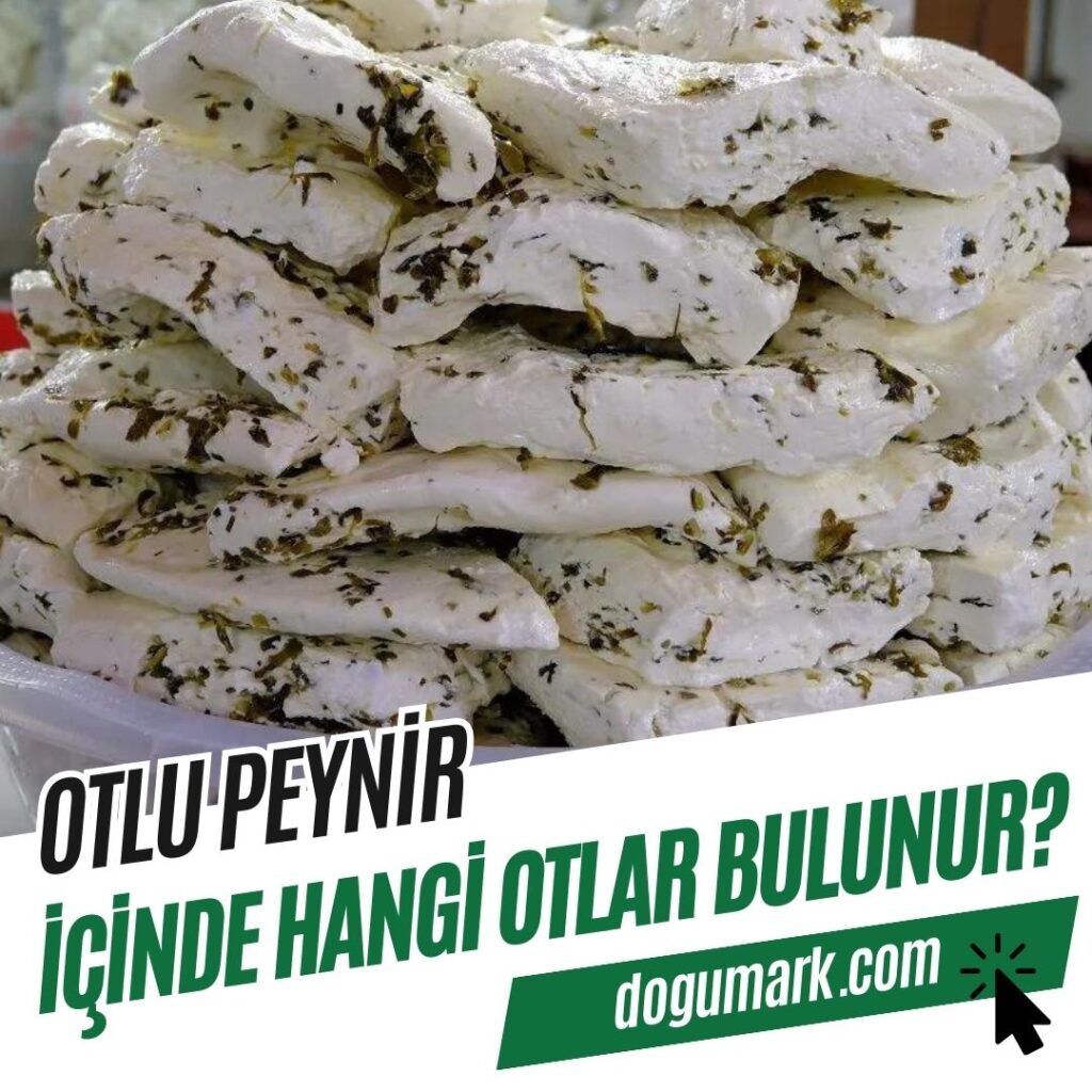 Otlu Peynirin içinde Hangi Otlar Bulunur