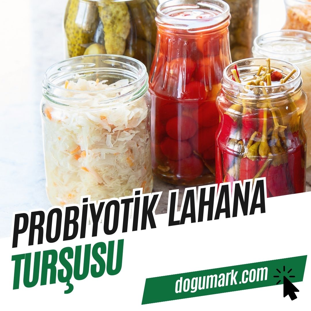 Probiyotik Lahana Turşusu