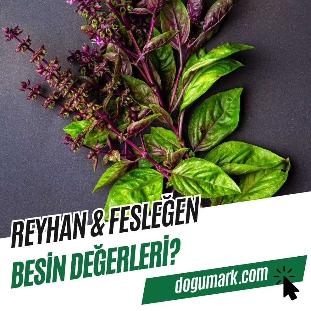 Reyhan - Fesleğen Besin Değerleri