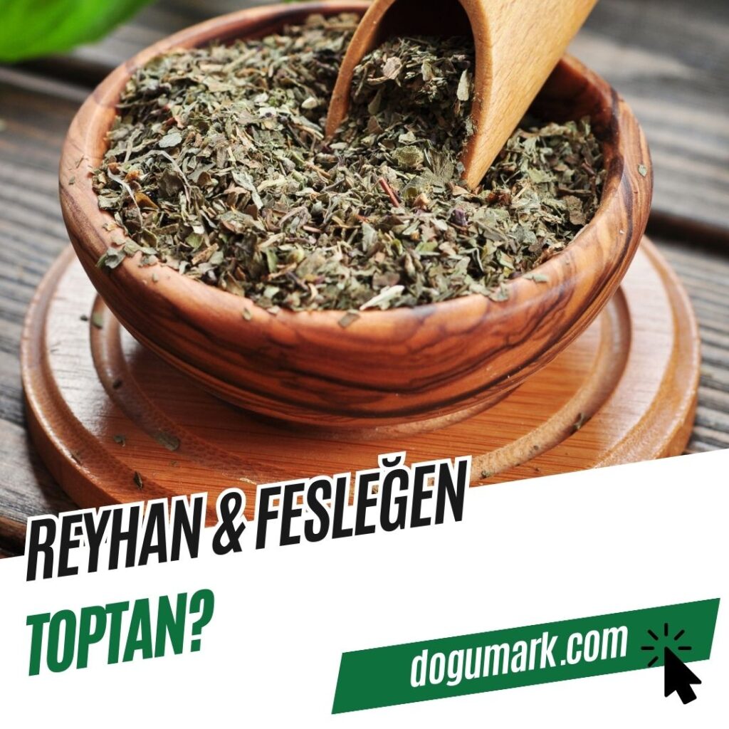 Reyhan - Fesleğen Toptan