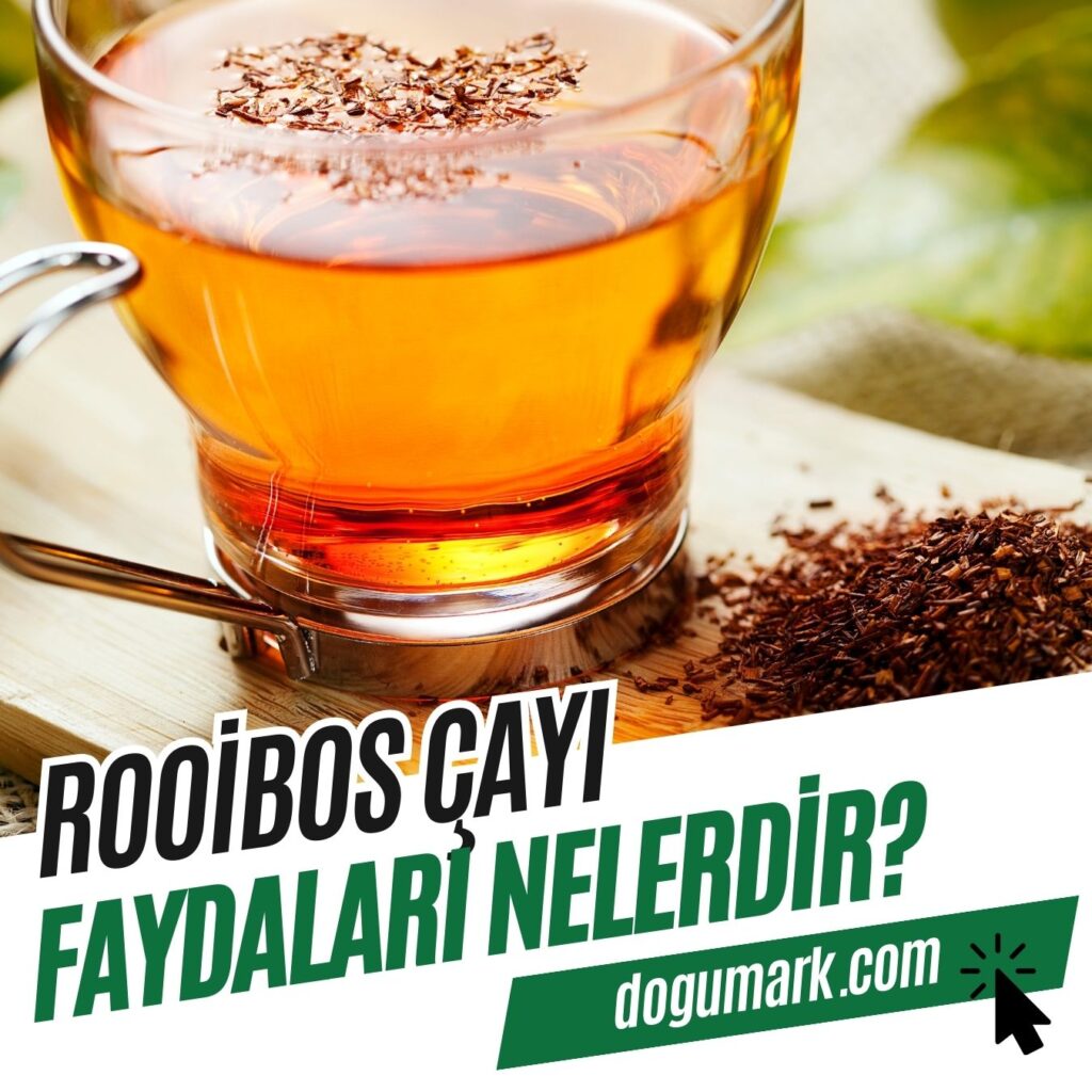 Rooibos Çayı Faydaları Nelerdir