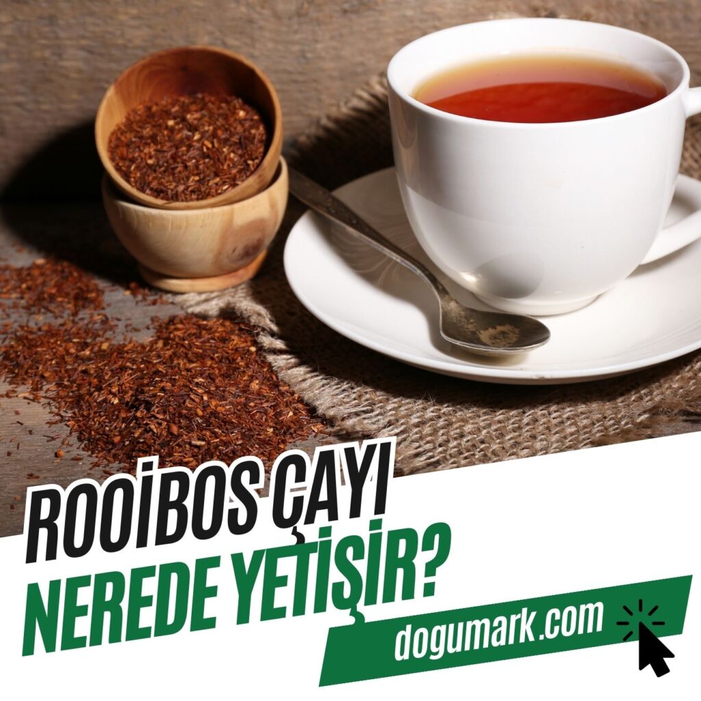 Rooibos Çayı Nerede Yetişir