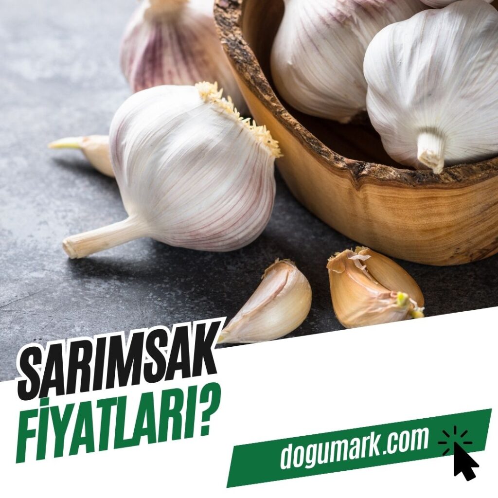 Sarımsak Fiyatları