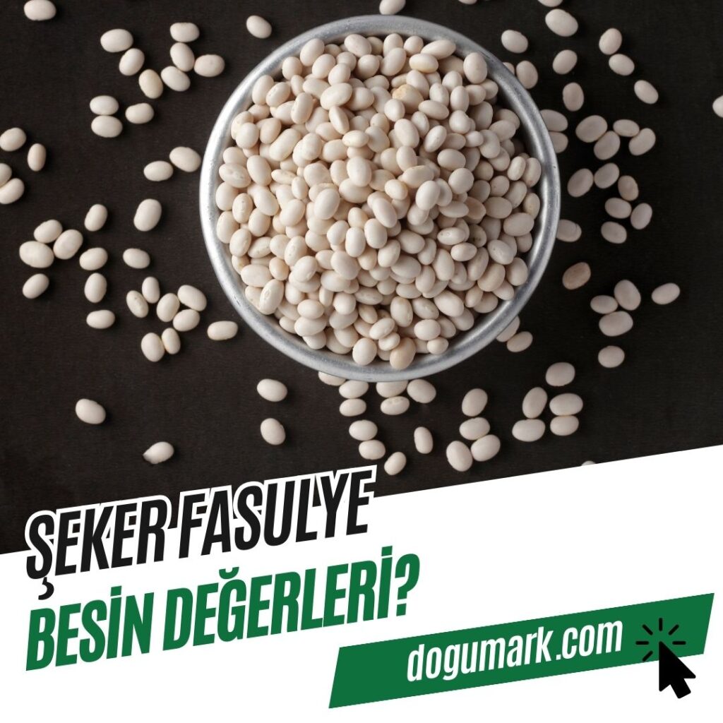 Şeker Fasulye Besin Değerleri