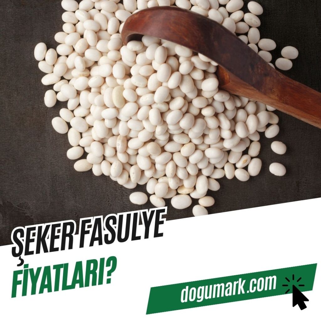 Şeker Fasulye Fiyatları