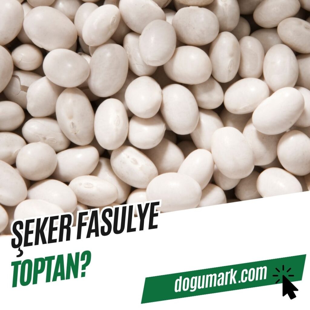 Şeker Fasulye Toptan