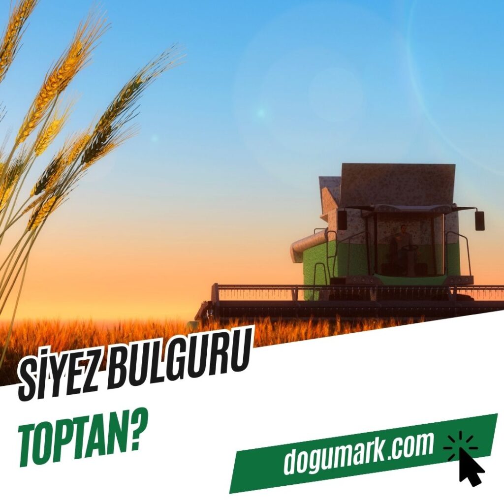 Siyez Bulguru Toptan