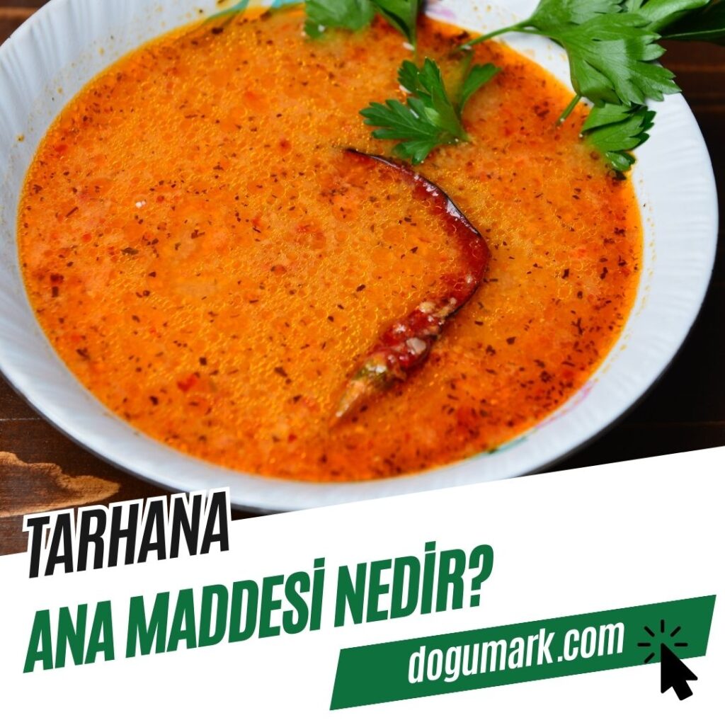 Tarhana Ana Maddesi Nedir