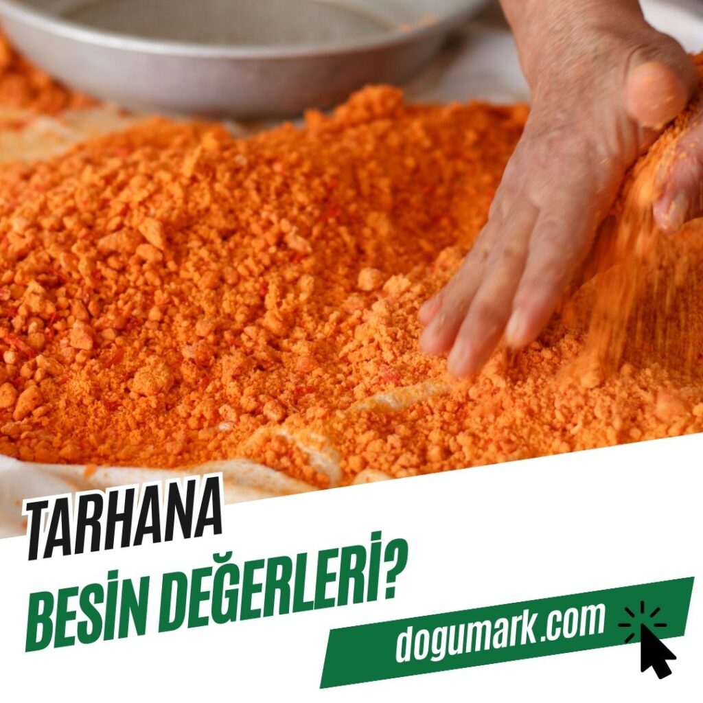 Tarhana Besin Değerleri