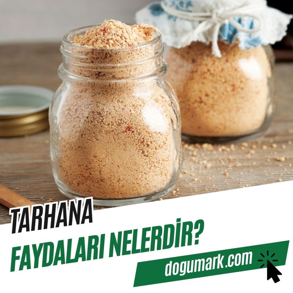 Tarhana Faydaları Nelerdir