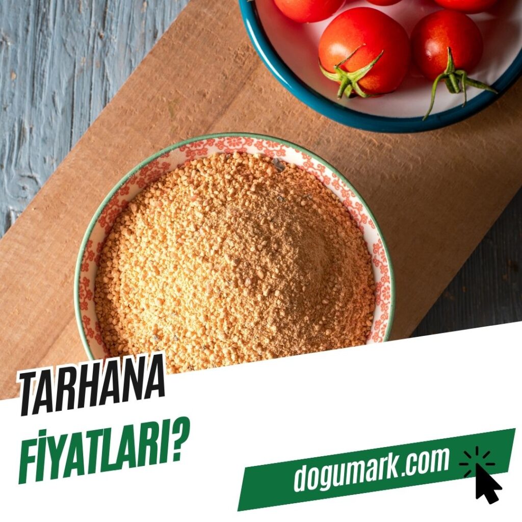 Tarhana Fiyatları