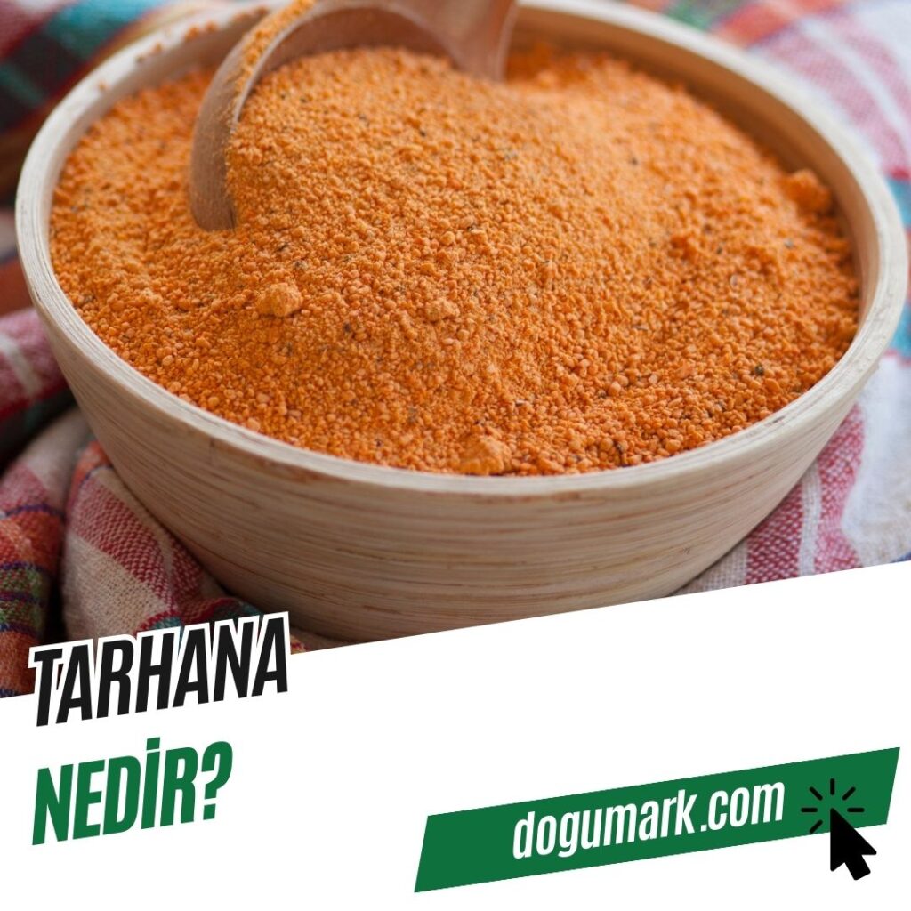 Tarhana Nedir