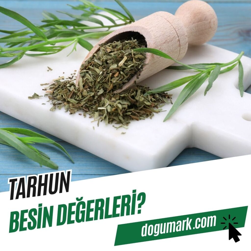 Tarhun Besin Değerleri