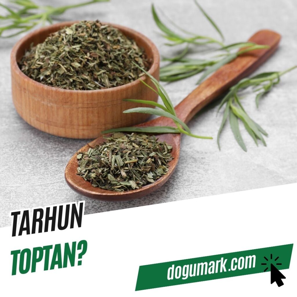 Tarhun Toptan