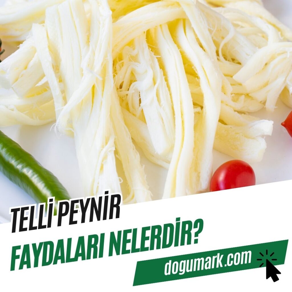 Telli Peynir Faydaları Nelerdir
