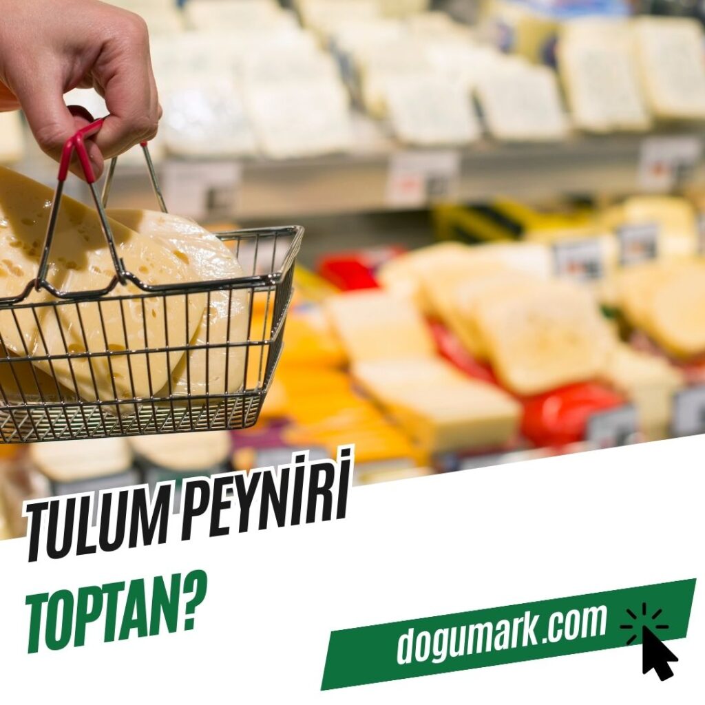 Tulum Peyniri Toptan