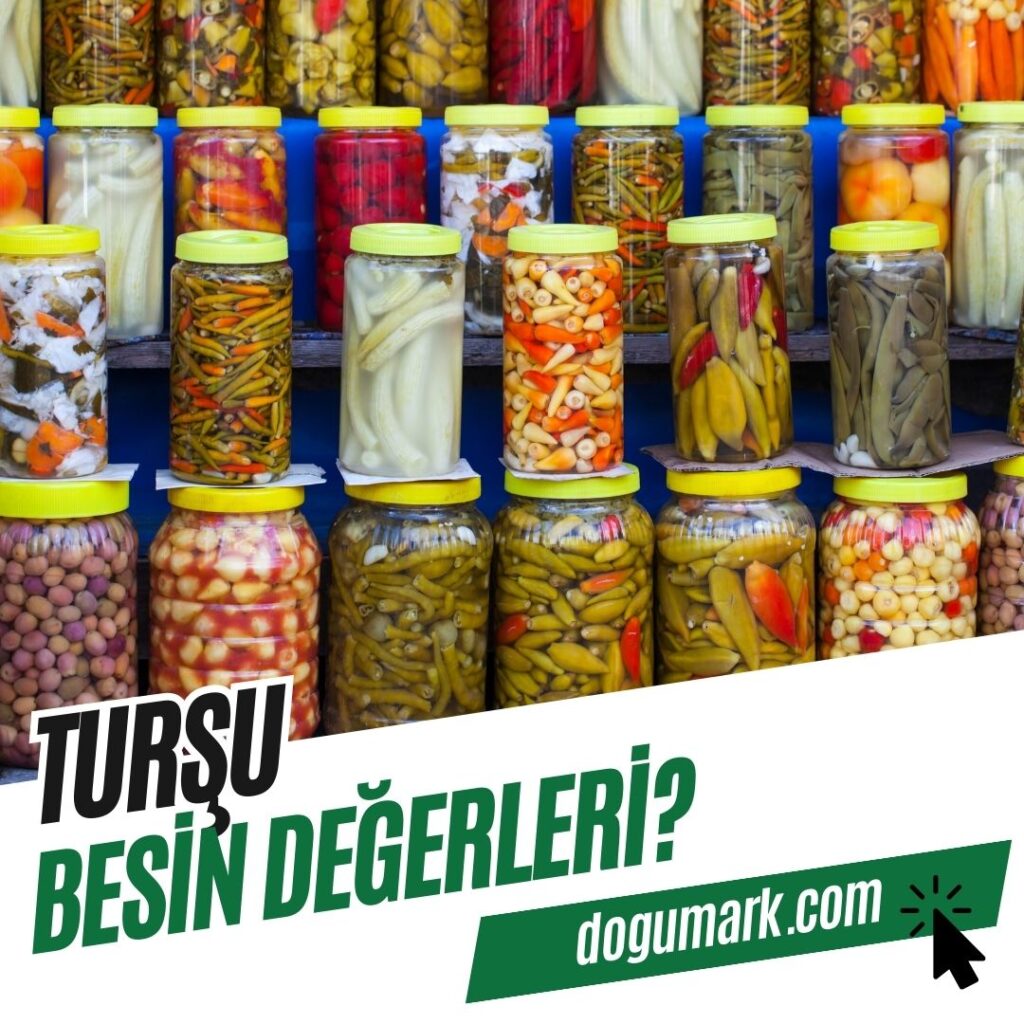 Turşu Besin Değerleri