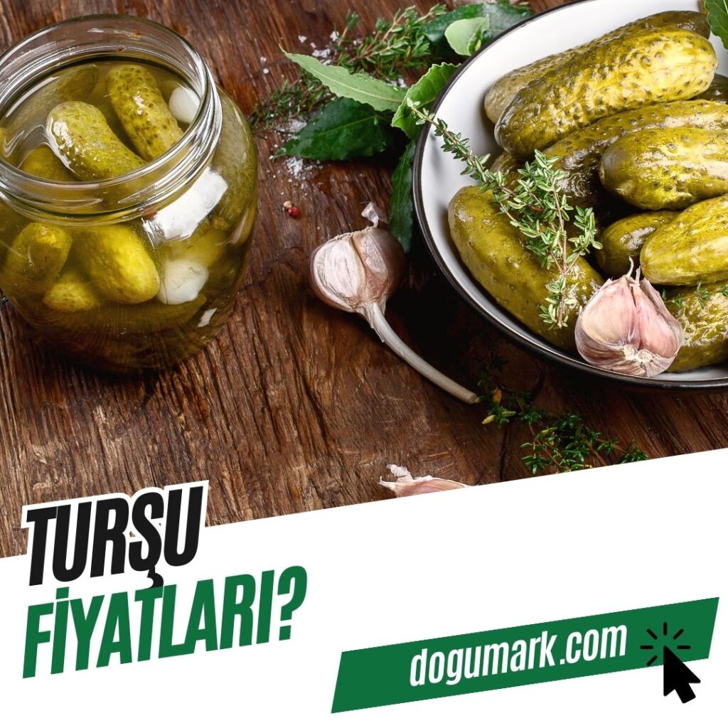 Turşu Fiyatları