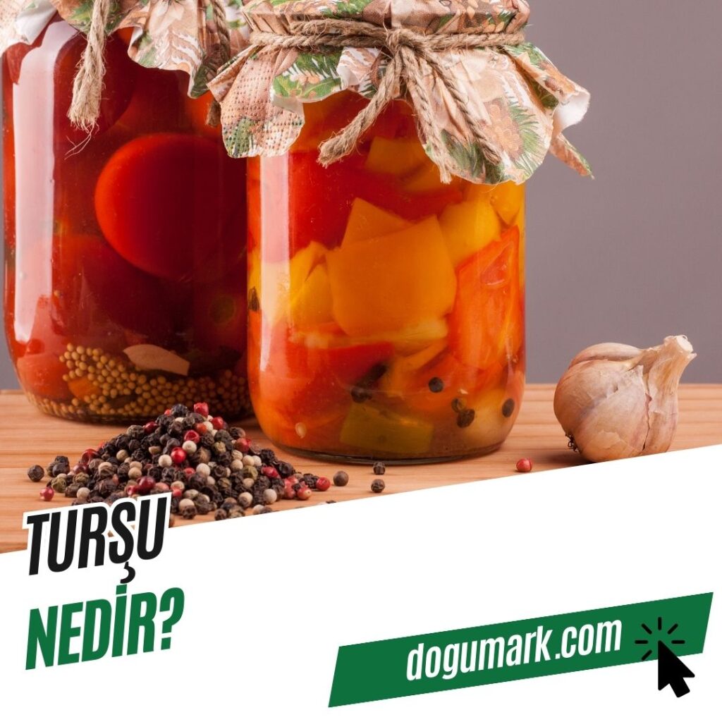 Turşu Nedir