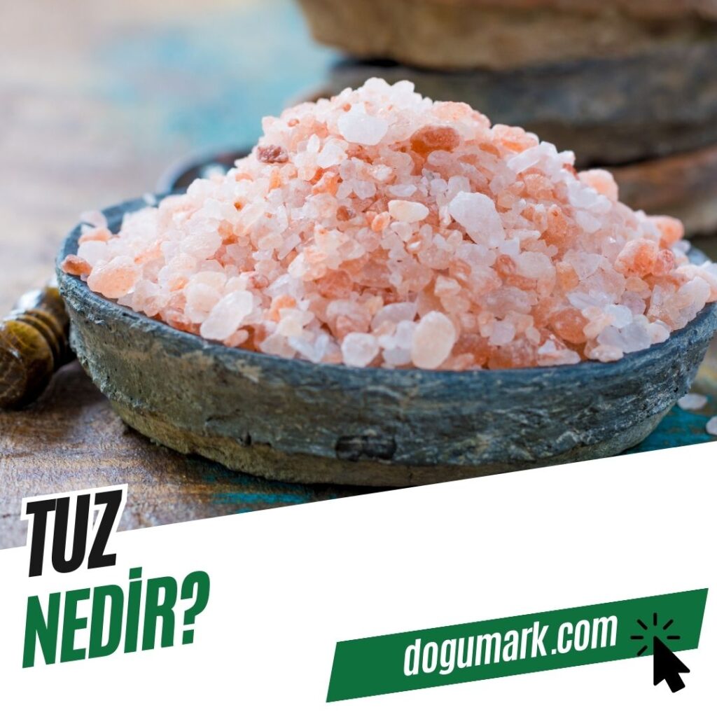 Tuz Nedir