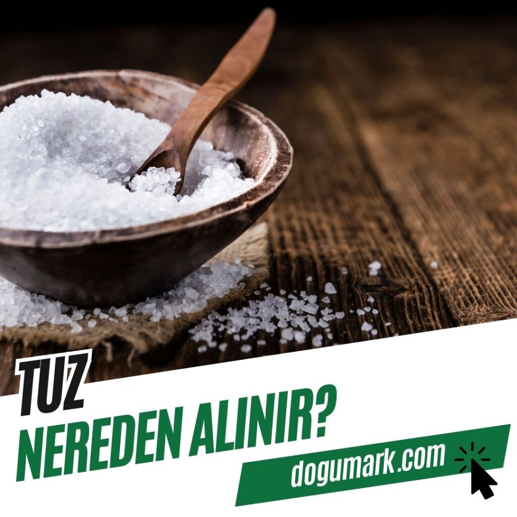 Tuz Nereden Alınır