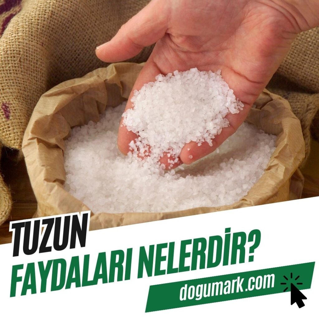 Tuzun Faydaları Nelerdir