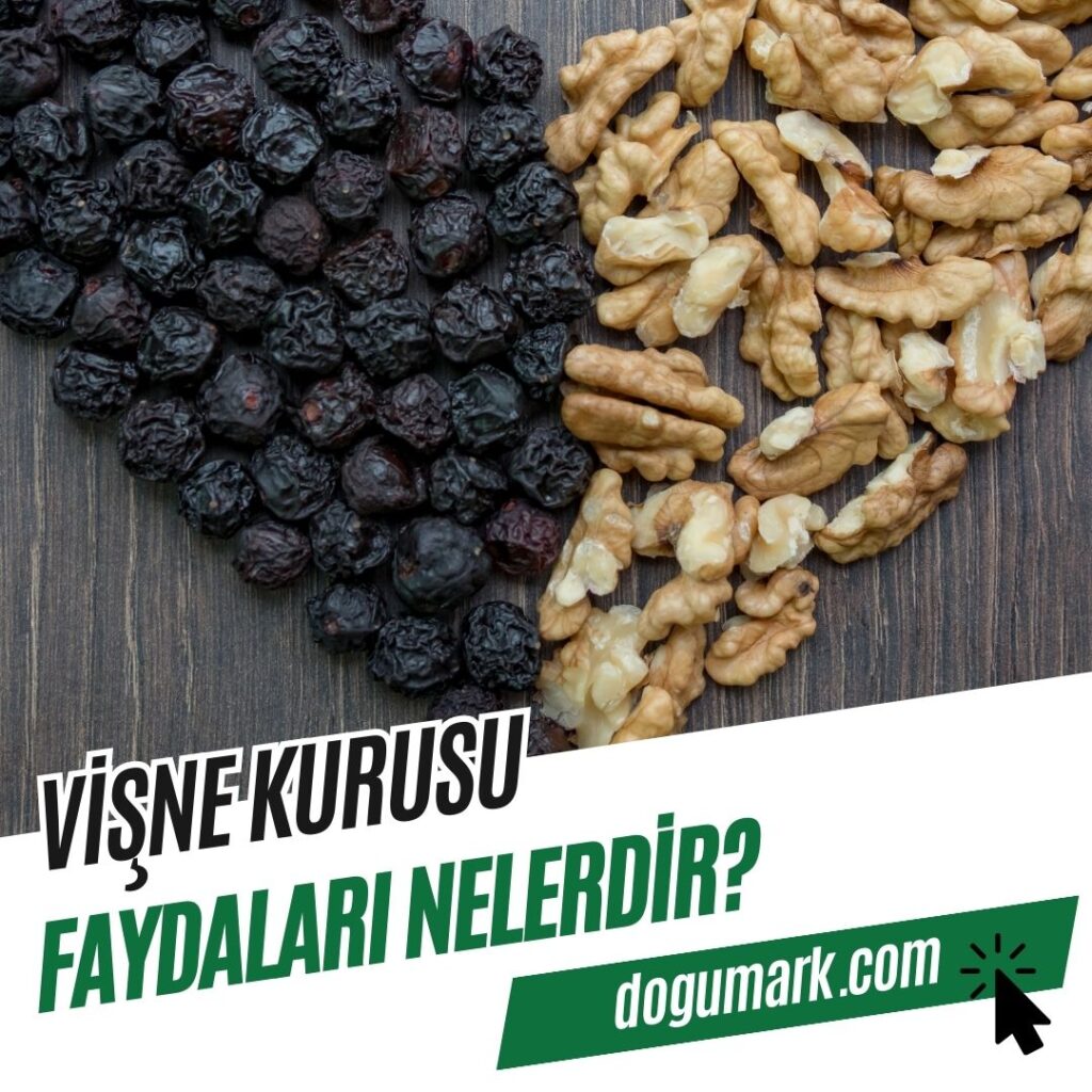 Vişne Kurusu Faydaları Nelerdir