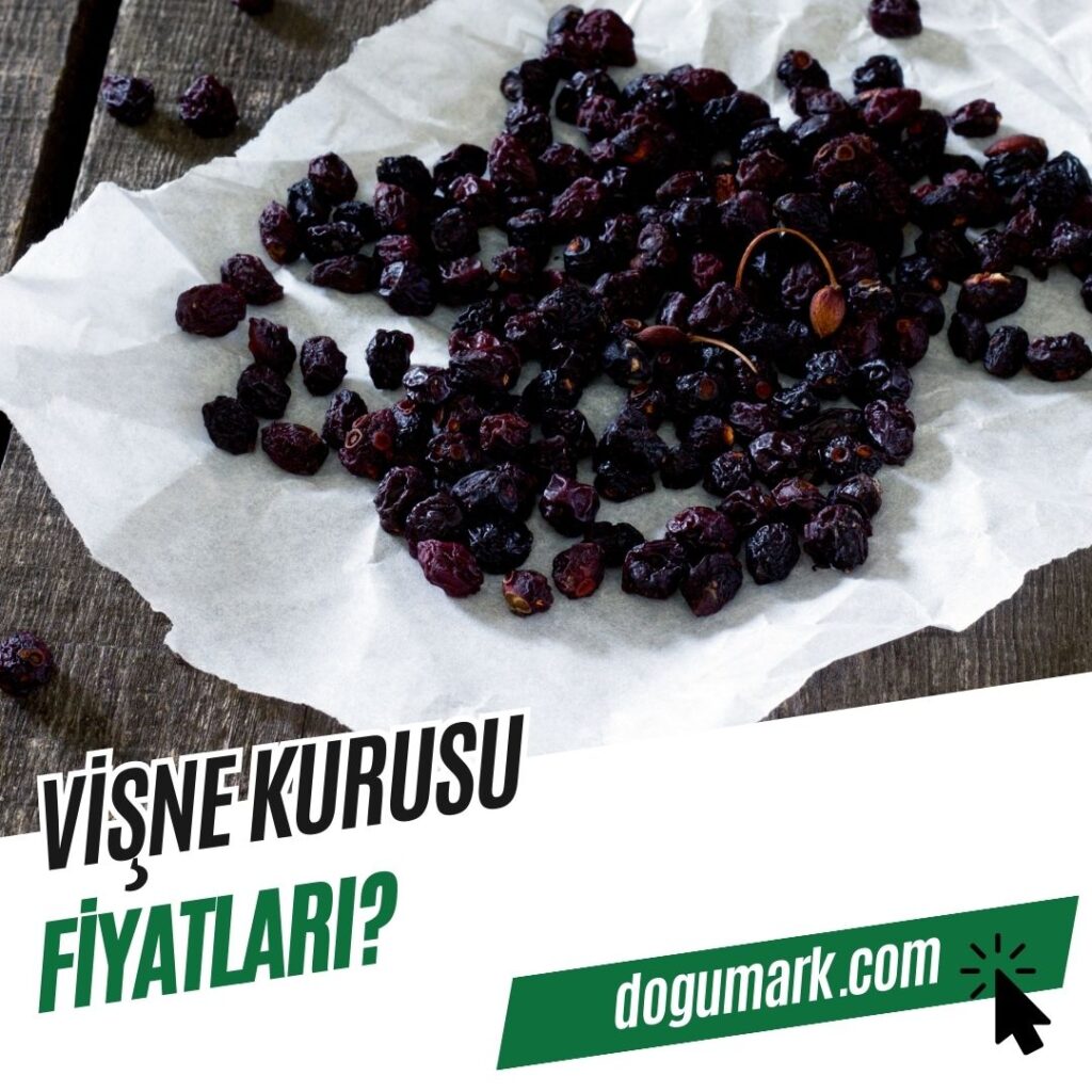 Vişne Kurusu Fiyatları
