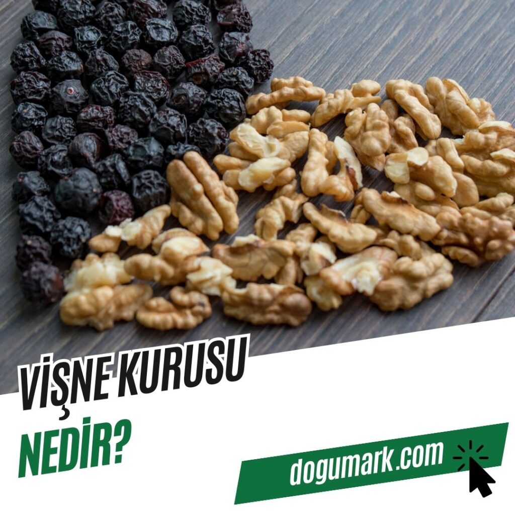 Vişne Kurusu Nedir