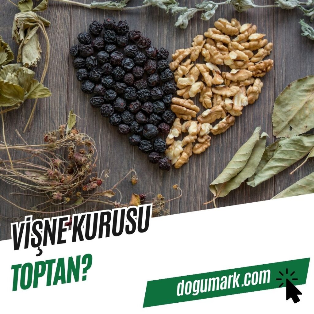 Vişne Kurusu Toptan