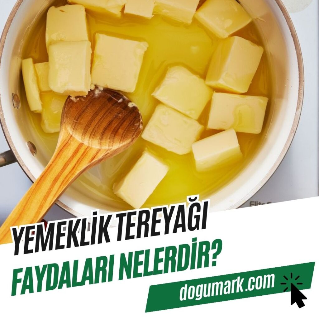 Yemeklik Tereyağı Faydaları Nelerdir