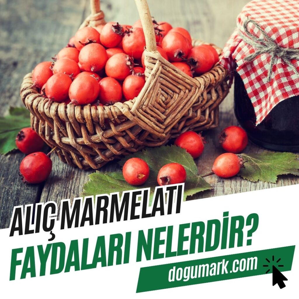 Alıç Marmelatı Faydaları Nelerdir