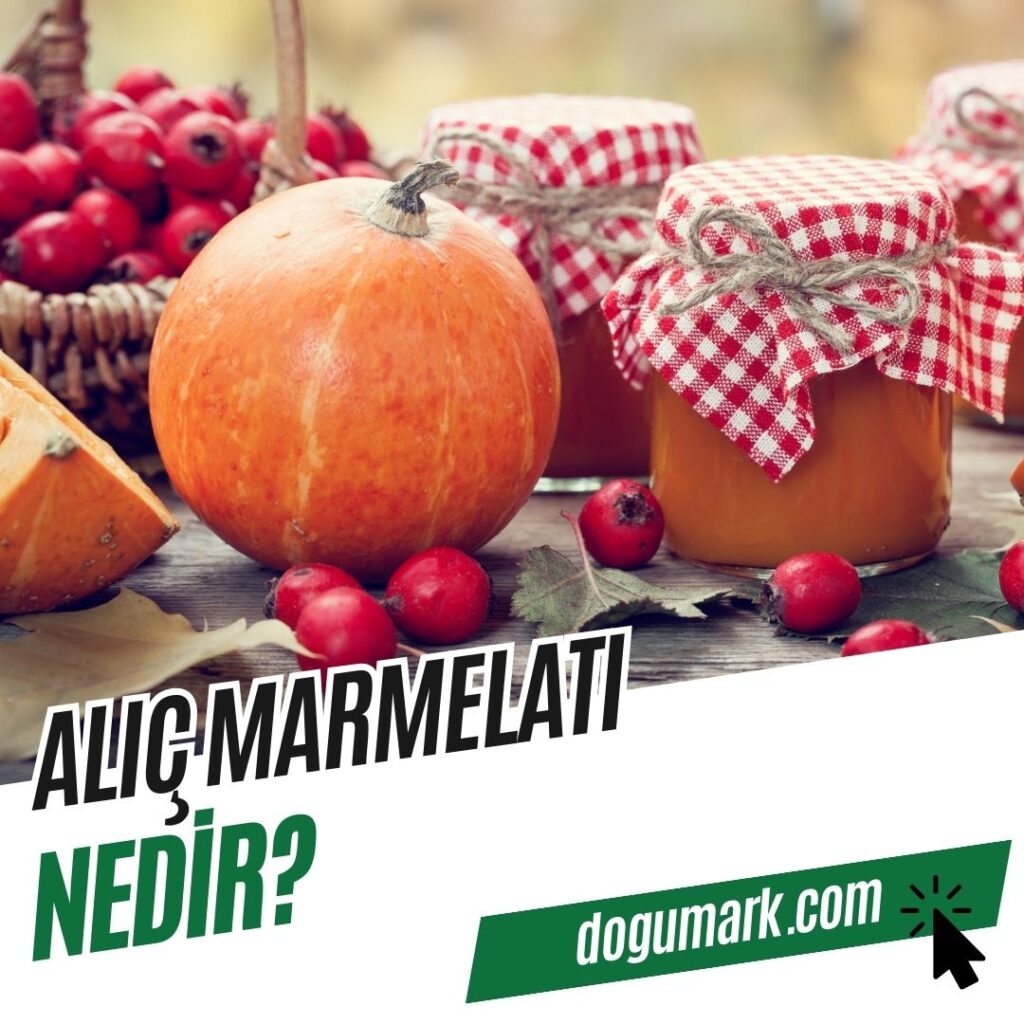 Alıç Marmelatı Nedir