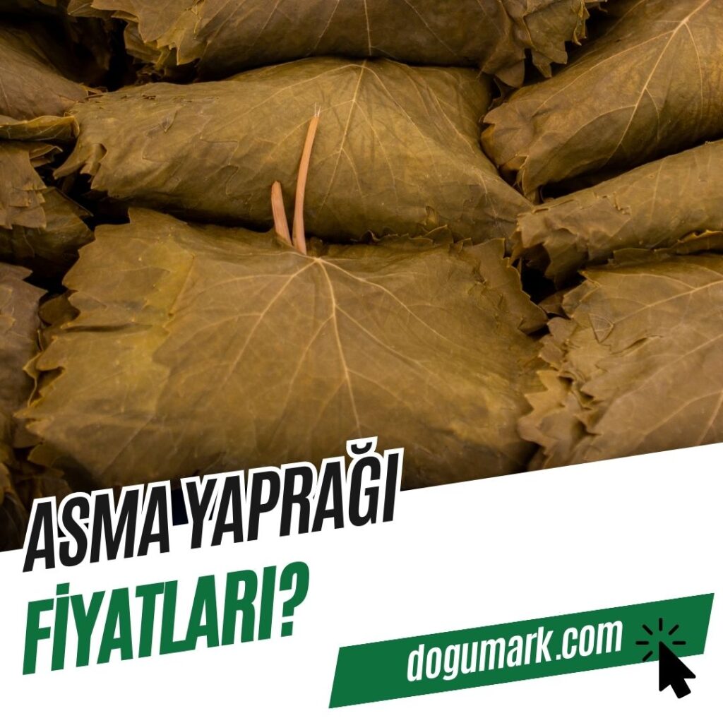 Asma Yaprağı Fiyatları