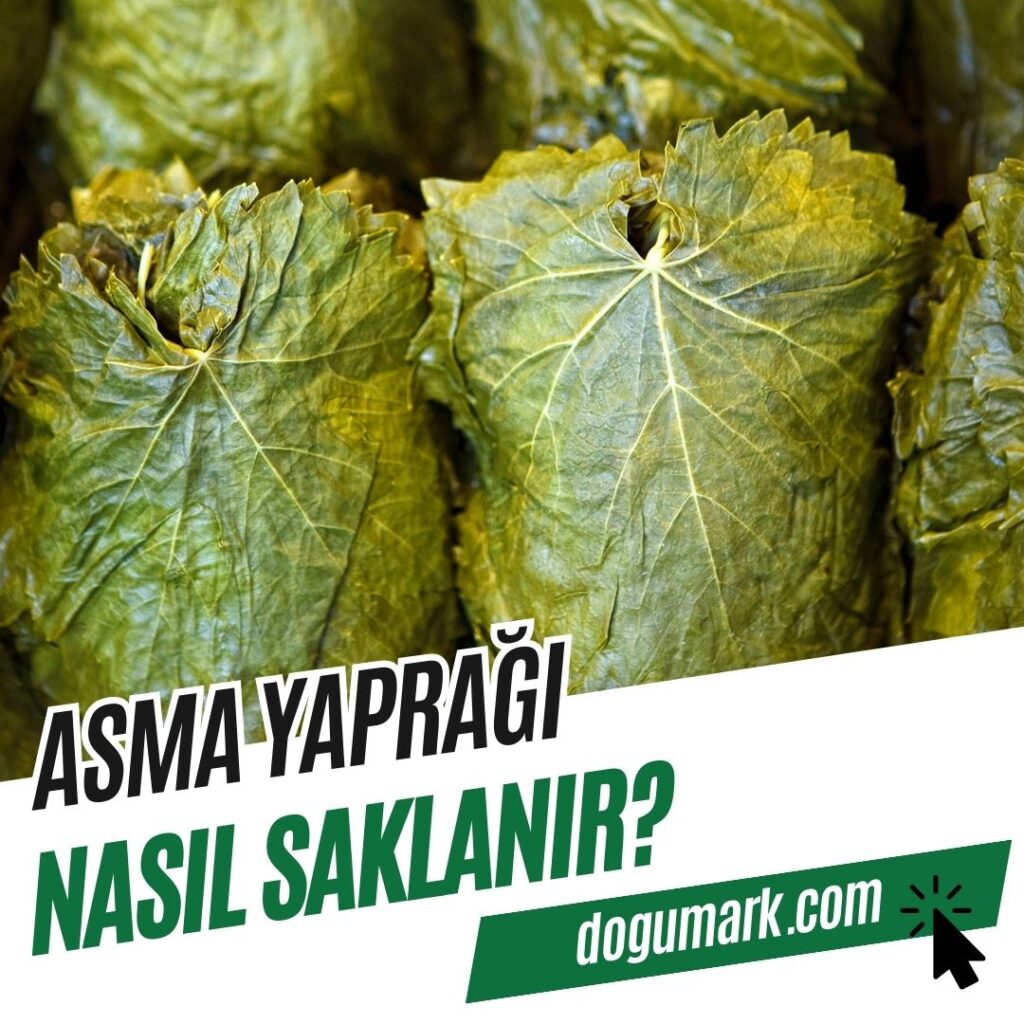 Asma Yaprağı Nasıl Saklanır