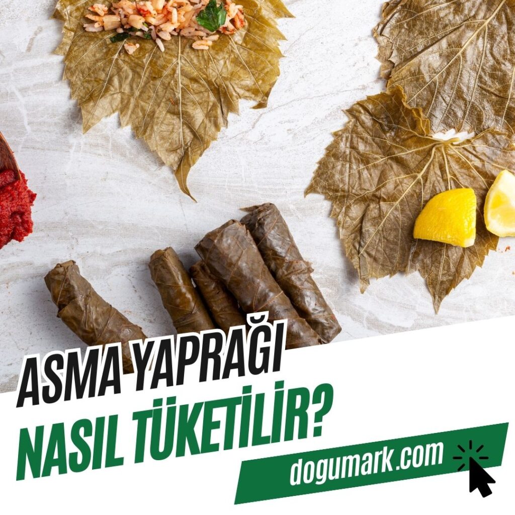 Asma Yaprağı Nasıl Tüketilir