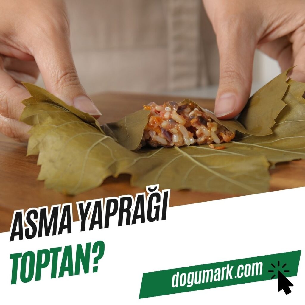 Asma Yaprağı Toptan