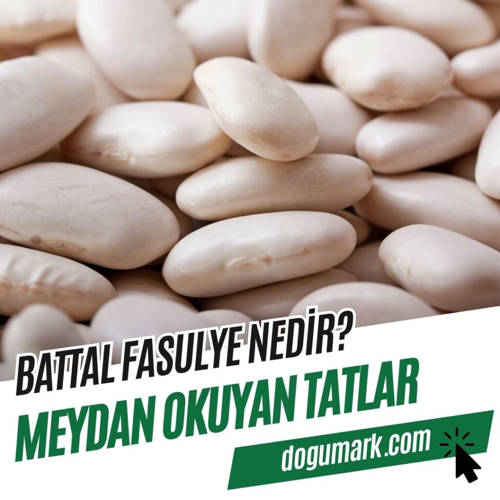 Battal Fasulye Nedir