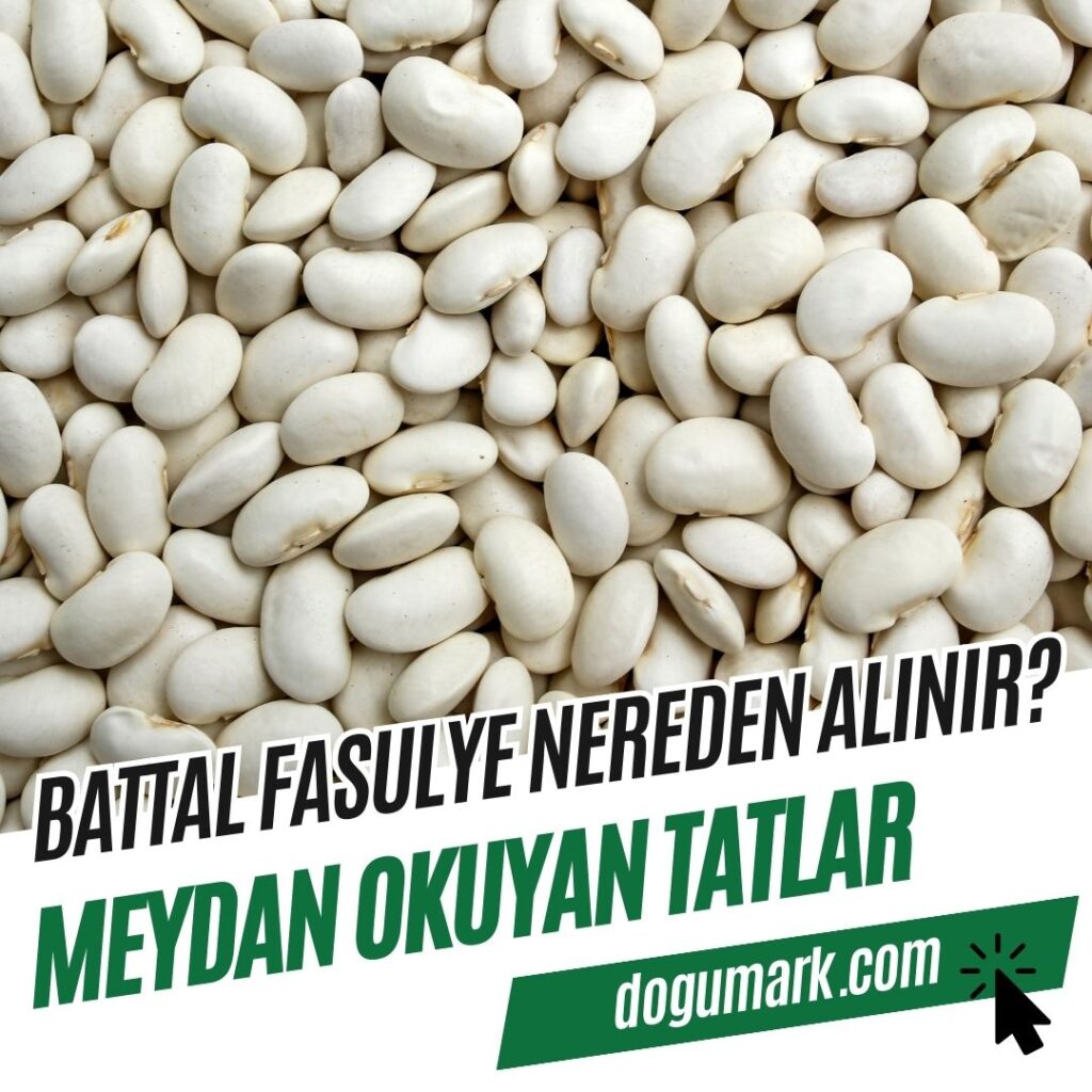Battal Fasulye Nereden Alınır