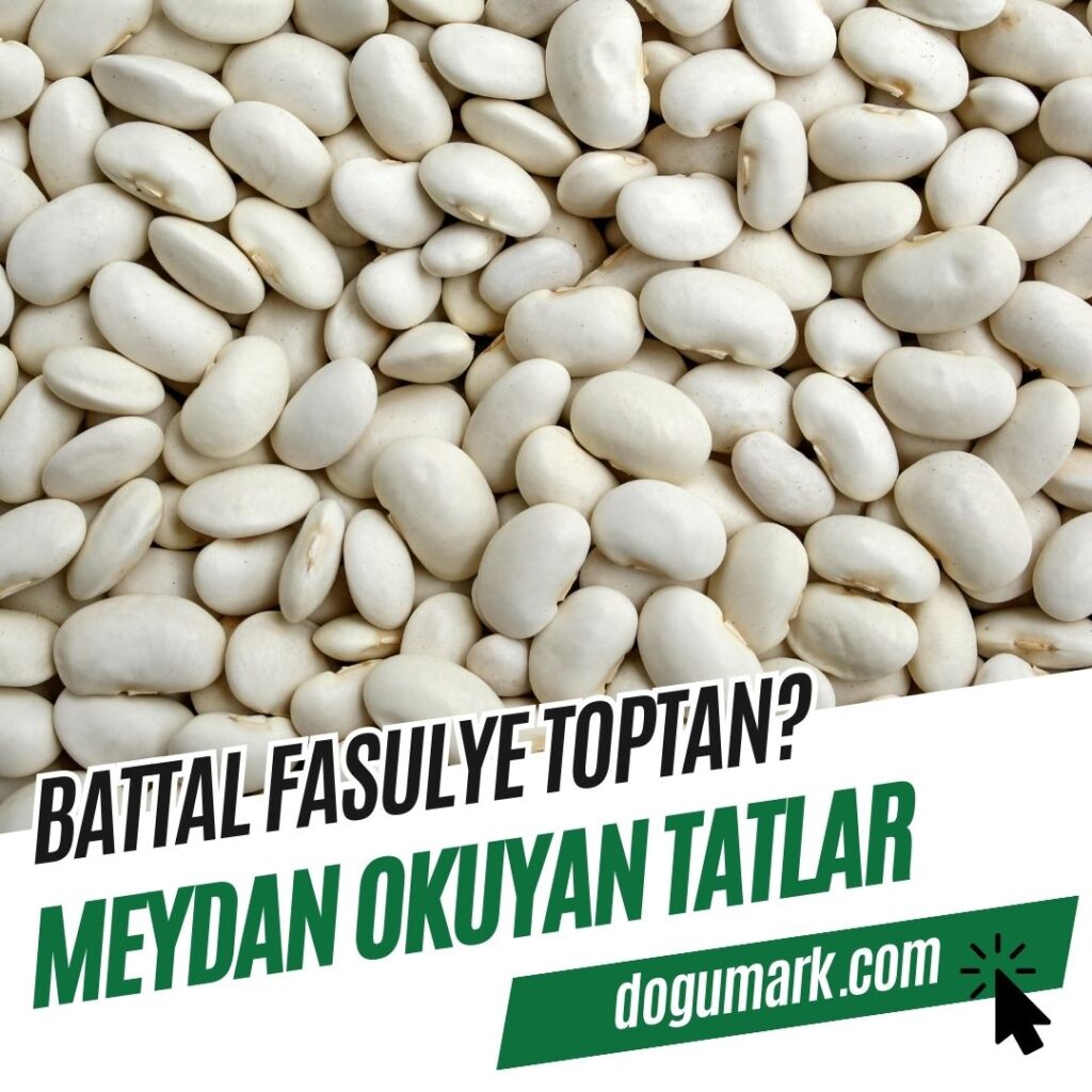 Battal Fasulye Toptan