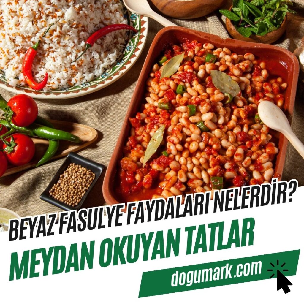 Beyaz Fasulye Faydaları Nelerdir