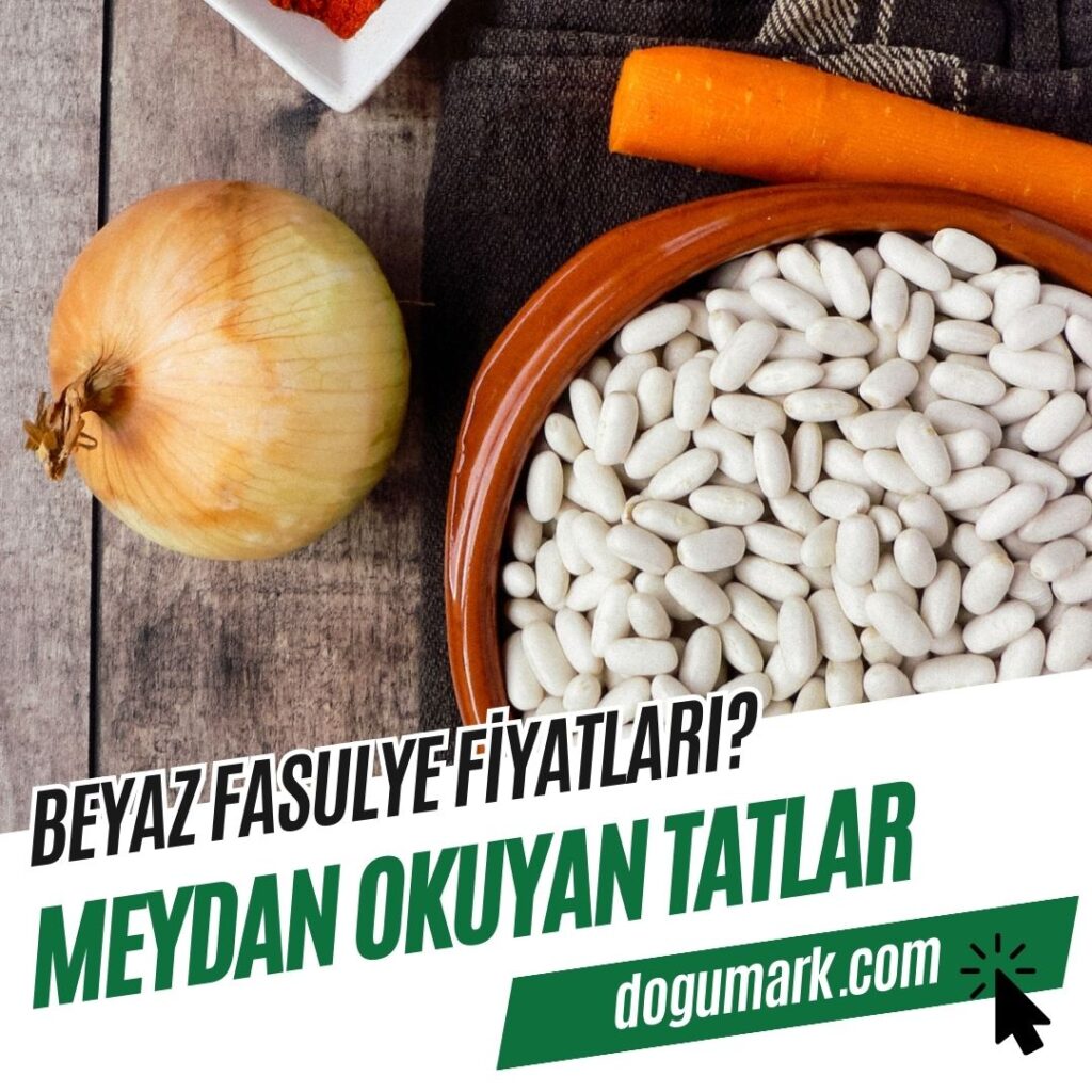 Beyaz Fasulye Fiyatları