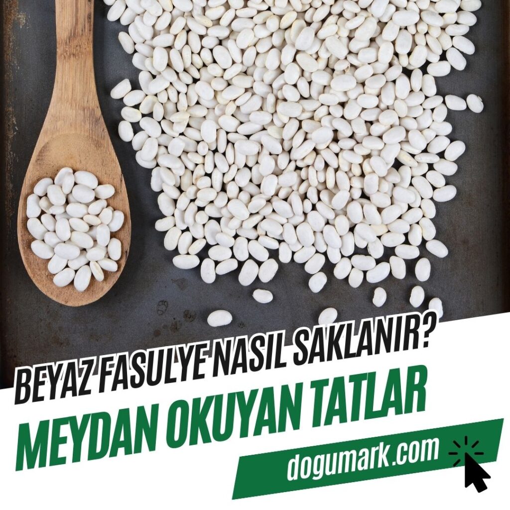 Beyaz Fasulye Nasıl Saklanır