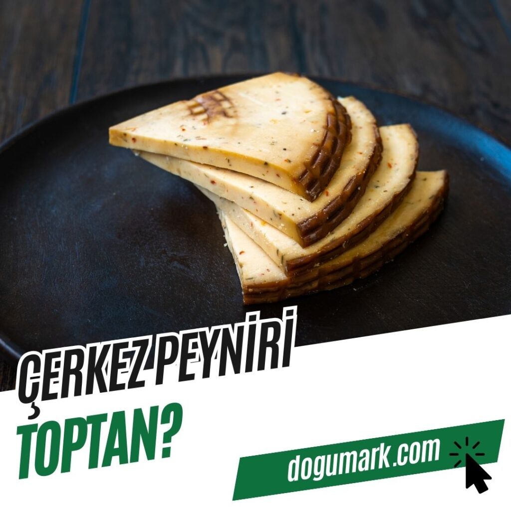Çerkez Peyniri Toptan