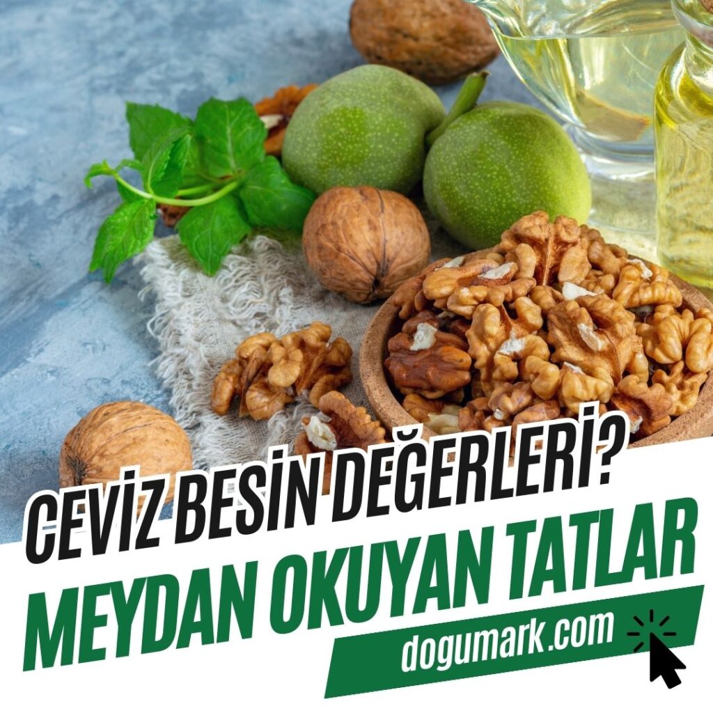 Ceviz Besin Değerleri