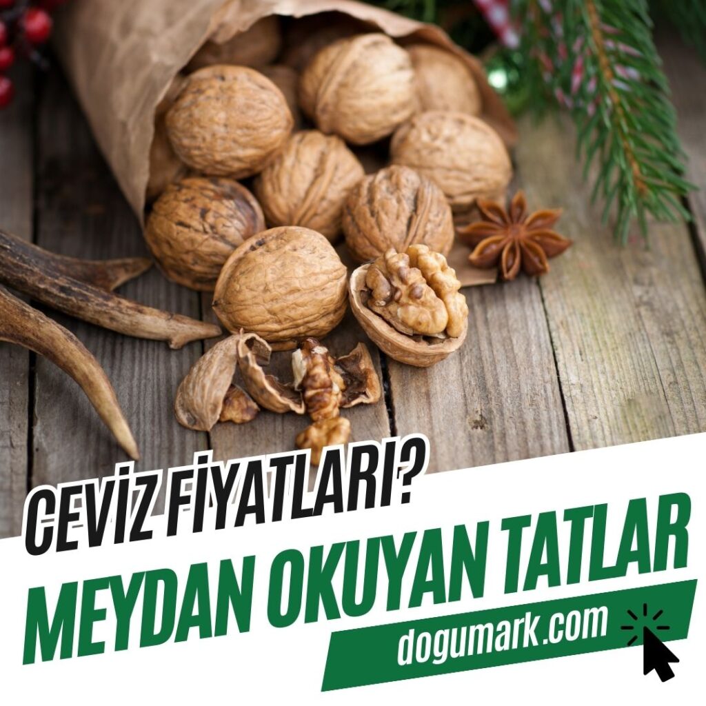 Ceviz Fiyatları