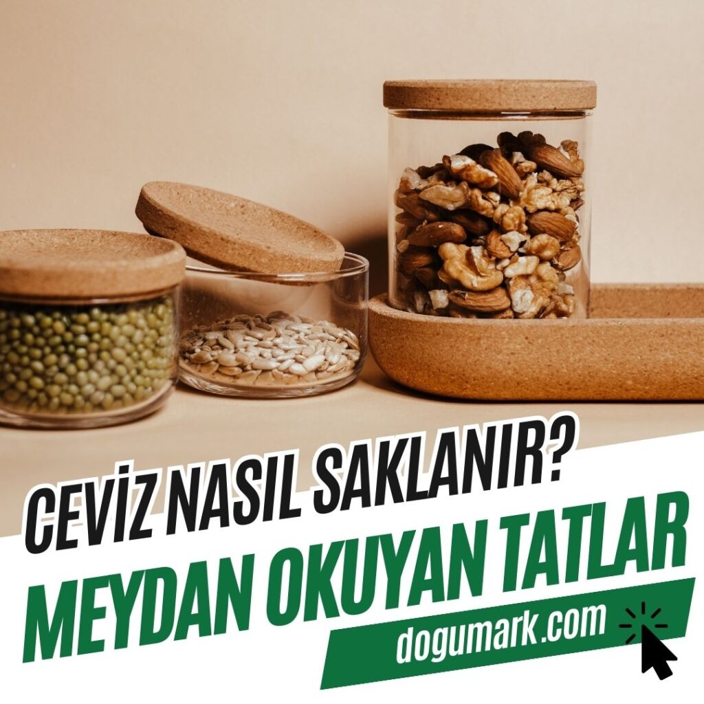 Ceviz Nasıl Saklanır
