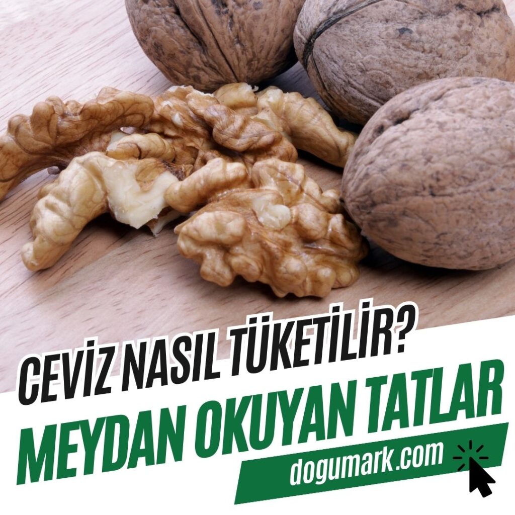 Ceviz Nasıl Tüketilir