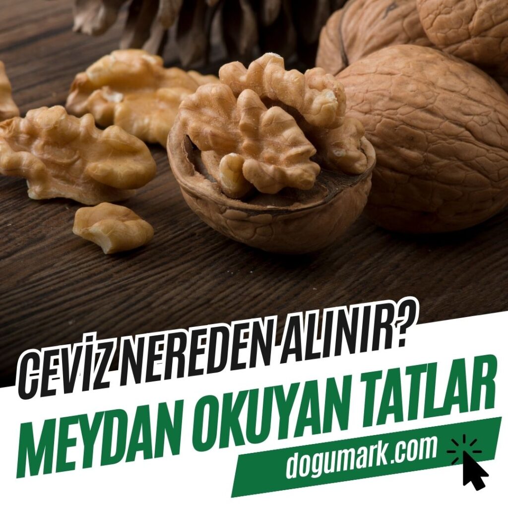 Ceviz Nereden Alınır