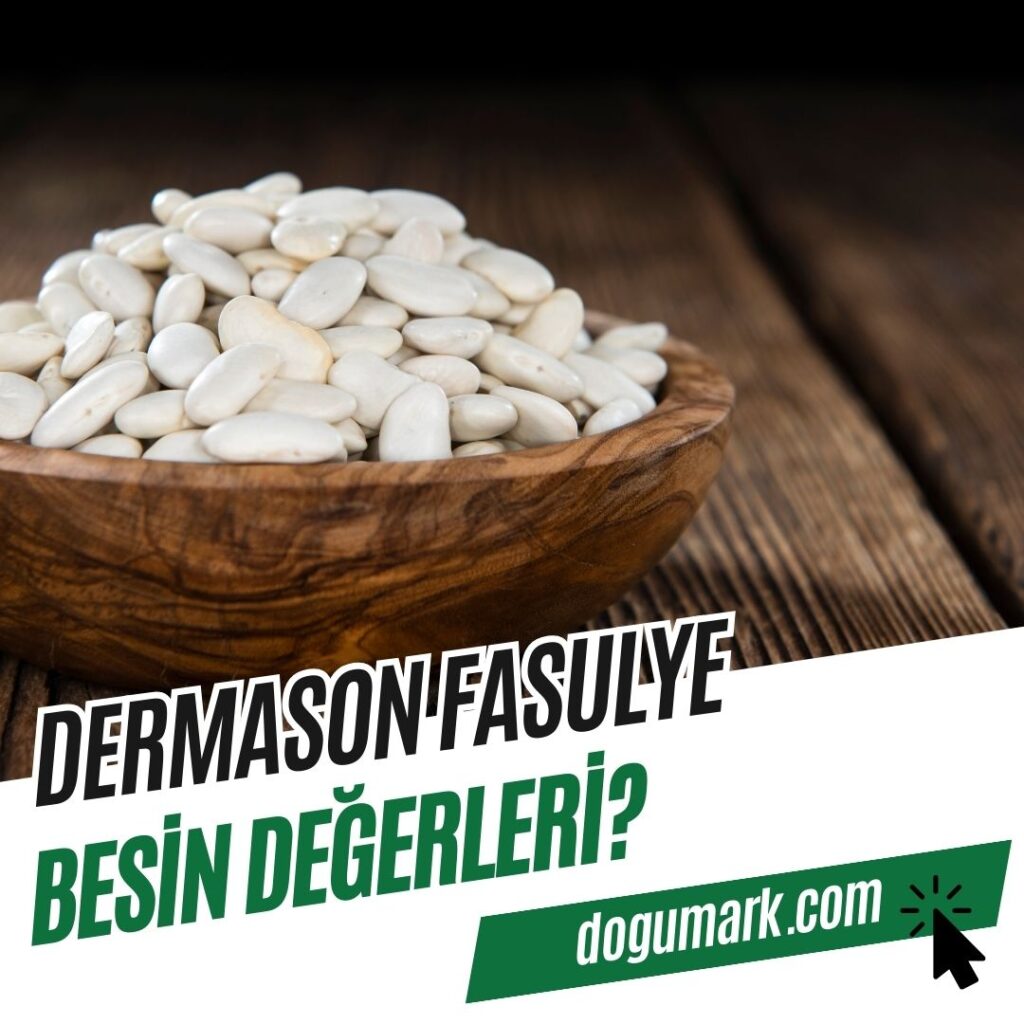 Dermason Fasulye Besin Değerleri